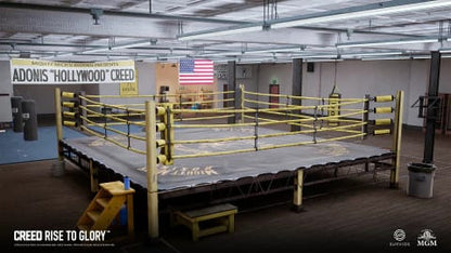 Creed Rise to Glory - PS4